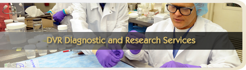 DVR Diagnostic & Research Services