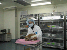 Veterinarian with rabbit