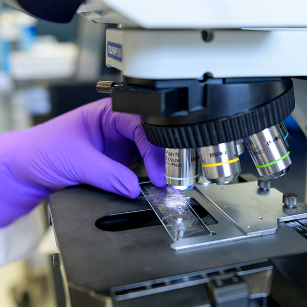 Health Surveillance image - microscope