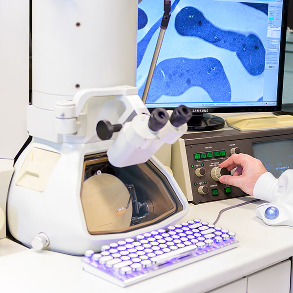 Pathology Image - microscope