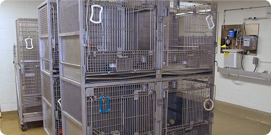Cages
