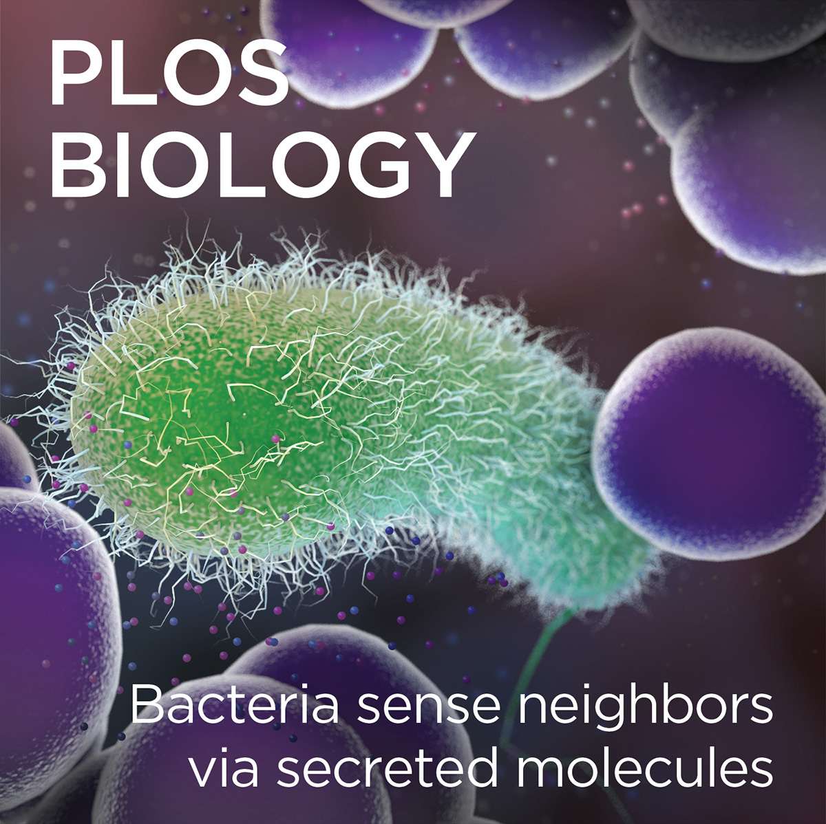 PLOS Biology Cover