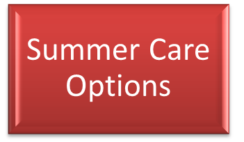 Summer Care Options