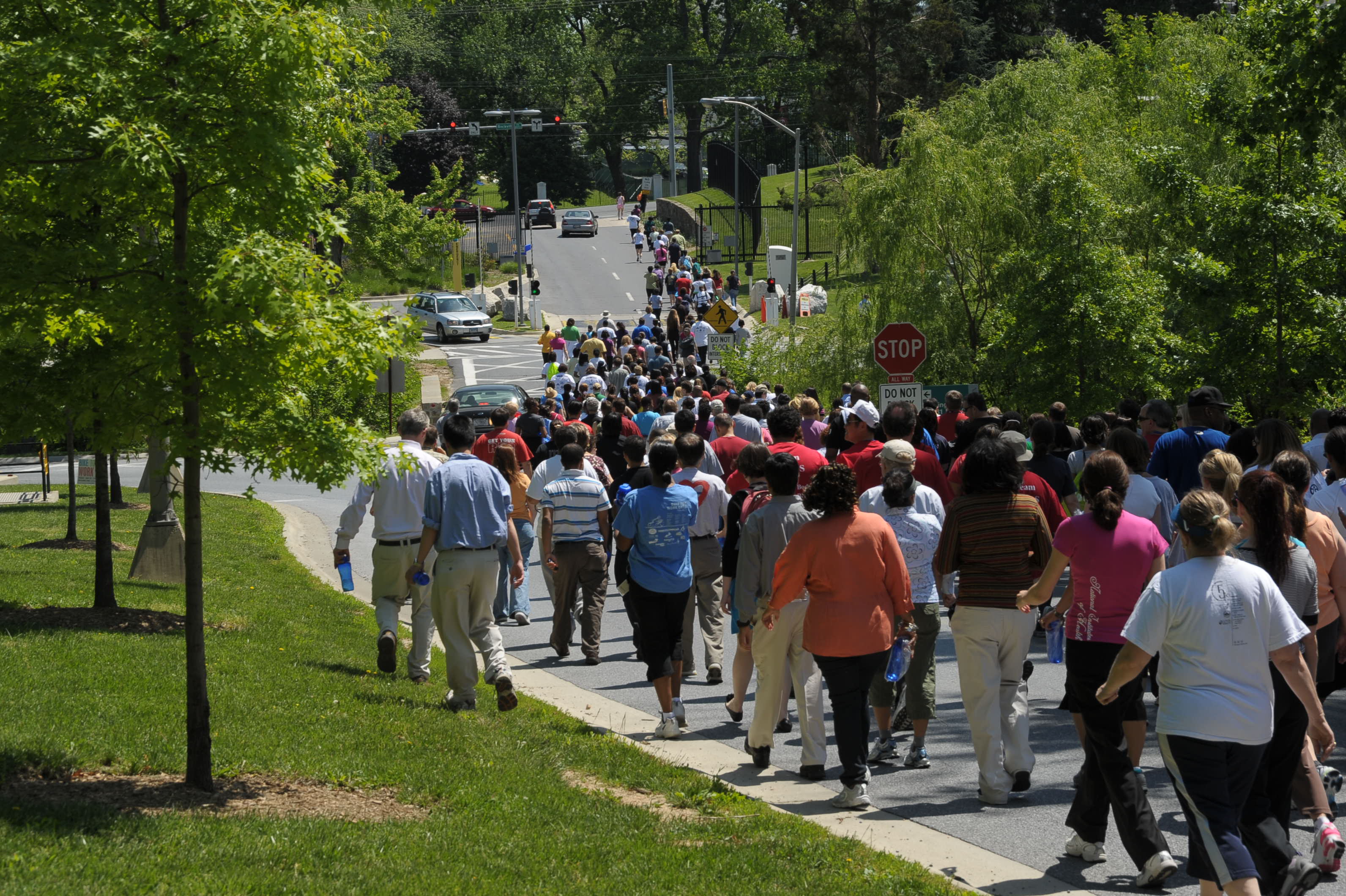 Take a Hike Day walking group Take a Hike Day walking group walking down Wilson Dr. toward Rockville Pike