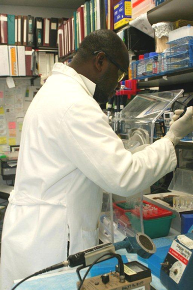 Lab worker in laboratory workplace settings wearing proper personal protective equipment